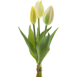 Nova nature PSO Holland Tulip bundle Sally x3 cream 25 cm kunstbloem - 