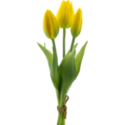 Nova nature PSO Holland Tulip bundle Sally x3 yellow 25 cm kunstbloem - 
