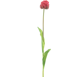 Nova nature PSO Tulip spray Paris Sally beauty 79 cm kunstbloem - 
