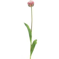 Nova nature PSO Tulip spray Paris Sally pink 79 cm kunstbloem - 