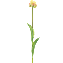 Nova nature PSO Tulip spray Paris Sally lt yellow 79 cm kunstbloem - 