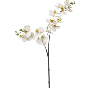 Emerald Kunstbloem Orchidee - 100 cm - wit/groen - losse tak - kunst zijdebloem - Phalaenopsis -