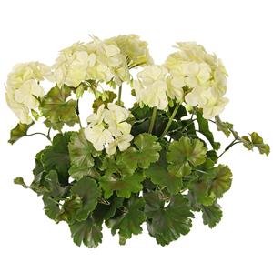 TopArt Kunstbloemen boeketje - Franse geranium - wit - UV bestendig - D30 cm x H39 cm -