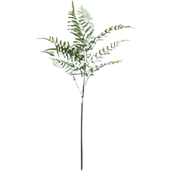 Buitengewoon de boet Varenblad lichtgroen 91 cm - 