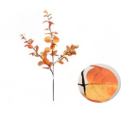 Buitengewoon de boet Money leaf tak oranje 104 cm - 