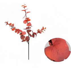 Buitengewoon de boet Money leaf tak bruin rood 104 cm - 
