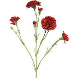 Nova nature (Best) Dianthus Charly red 62 cm kunstbloem - 