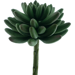 Nova nature Echeveria pick Anna green 14.5 cm kunstbloem - 