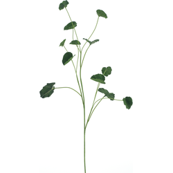 Nova nature Begonia leaf spray green 98 cm kunstbloem - 