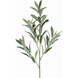 Decostar Olea l5b20h80 cm groen kunstbloem zijde nepbloem - 