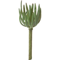 Louis maes Agave l21 cm groen zijde nepbloem - 