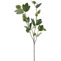 Nova nature Hop spray La Choeffe green 76 cm kunstbloem - 