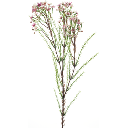 Nova nature Wax flower spray red 78 cm kunstbloem - 