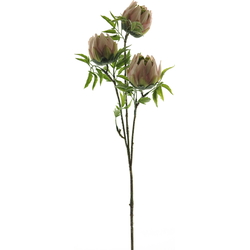 Nova nature Protea spray pink 73 cm kunstbloem - 