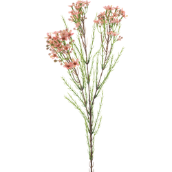 Nova nature Wax flower spray pink 78 cm kunstbloem - 