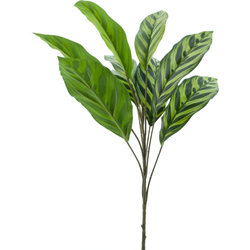 Nova nature Aglaonema bush yellow/green 62 cm kunstbloem - 