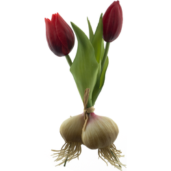 Nova nature PSO Holland tulip Sally w/bulb red 18 cm kunstbloem - 