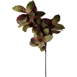 Buitengewoon de boet Berkenblad groen rood 120 cm - 