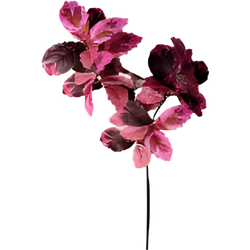 Buitengewoon de boet Berkenblad roze rood 120 cm - 