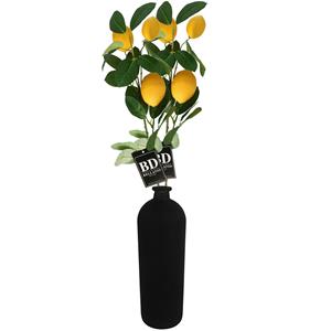 Bellatio Design Kunstbloem citrusfruit tak citroen - 3x - 74 cm - geel - losse steel - Kunst zijdebloemen -