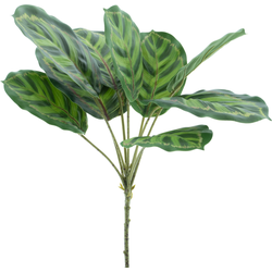 Nova nature Maranta leaf spray Taco green 43 cm kunstbloem - 