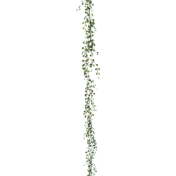 Nova nature (Best) Button leaf garland dk green 165 cm kunstbloem - 