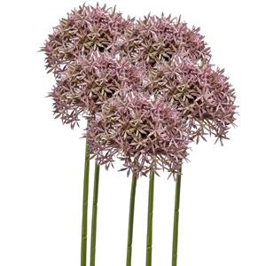 Emerald Allium/Sierui kunstbloem - 5x - losse steel - lila - 62 cm - Natuurlijke uitstraling -