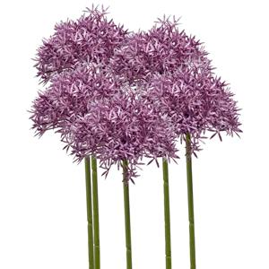 Emerald Allium/Sierui kunstbloem - 5x - losse steel - paars - 62 cm - Natuurlijke uitstraling -