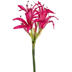 Louis maes Nerine l65 cm cerise zijde nepbloem - 