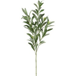 Decostar Kunstbloem Olea kunststof 90x30x5 cm groen 1 stuk - 