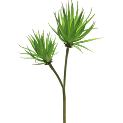 Nova nature Agave plant pick x2 green 64 cm kunstbloem - 
