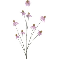 Hortus Kunstbloem echinacae purple, 123 cm - 