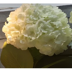 Buitengewoon de boet Kunst hortensia tak wit 92 cm - 