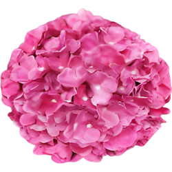 Buitengewoon de boet Kunst hortensia tak roze 92 cm - 
