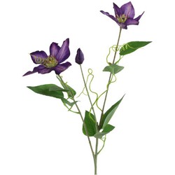 Countryfield Kunstbloem Clementis 20x15x76 cm prs - 