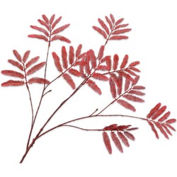 Silkka Mimosasteel l104 cm rood - 