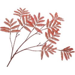 Silkka Mimosasteel l104 cm oranje - 