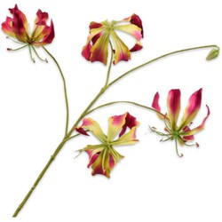 Silkka Gloriosasteel l89 cm beauty - 