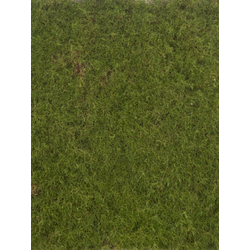 Nova nature Moss mat green 50x50 cm kunstbloem - 