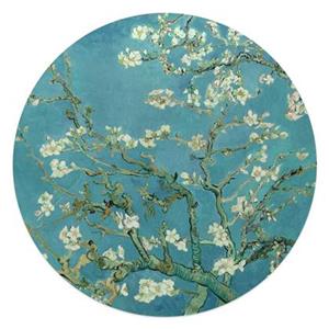 Reinders  Van Gogh Almondblossom - Glasschilderij Ø 50cm