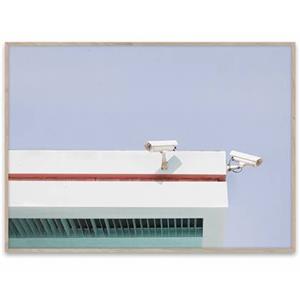 Paper collective Poster Mikal Strom Los Angeles is pink 02 50x70cm