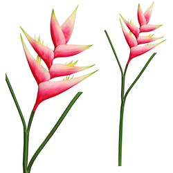 PTMD Garden Bloem Heliconia Kunstbloem - 36 x 18 x 86 cm - Roze