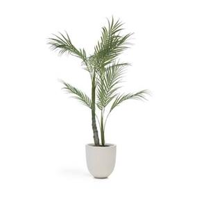Kave Home  Kunstmatige palmboom met zwarte plantenpot 70 cm