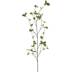Nova nature Fagus spray green 163 cm kunstbloem - 