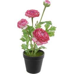 Louis maes Ranonkel h35 cm p cerise zijde nepbloem - 