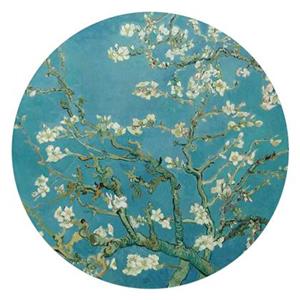 Reinders  Van Gogh Almondblossom - Glasschilderij Ø 70cm