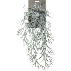 Louis maes Platycerium hanger l60 cm grijs/groen header zijde nepbloem - 
