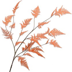 Silkka Asparagustak l141 cm oranje - 