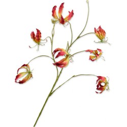 Silkka Gloriosasteel l110 cm geel/roze - 