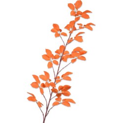Silkka Bladtak l164 cm oranje - 